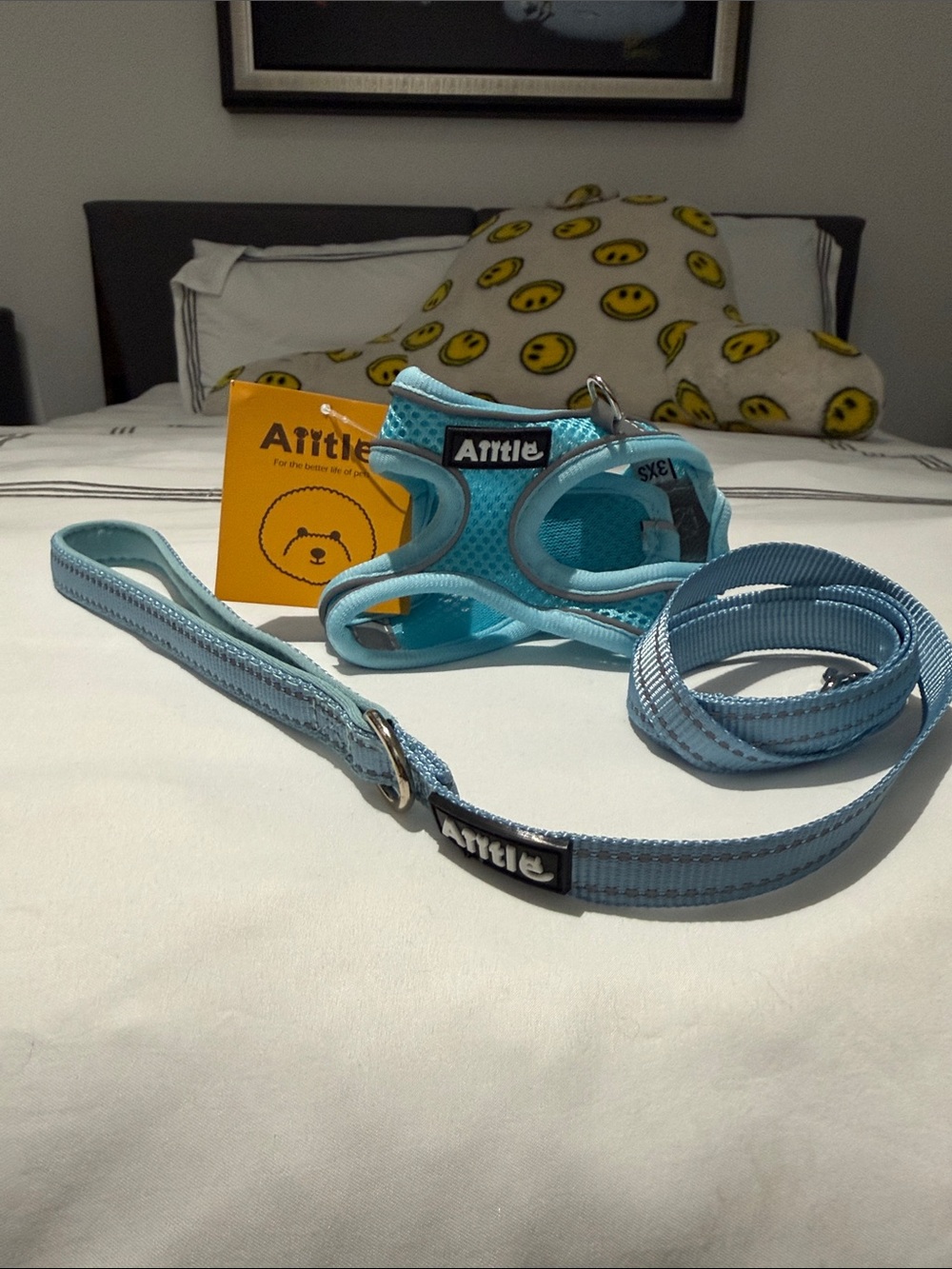 Annie Light Blue Padded Mesh Dog Harness with Matching Leash brand new